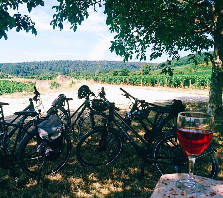 Dijon: Bike Tour and Tastings in the Vineyards of Burgundy - Experience Highlights