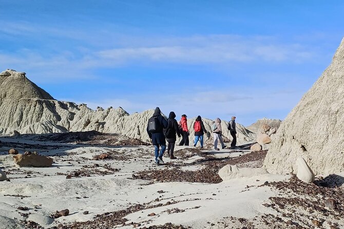 Discover La Leona Petrified Forest: Guided Hiking Tour - Physical Requirements and Recommendations