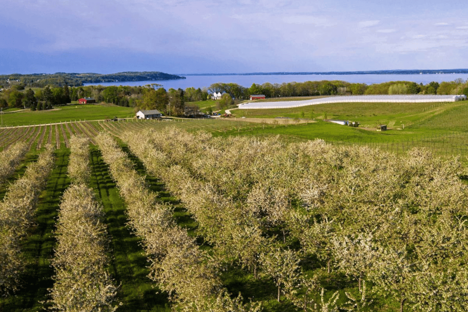 Discover Lake Michigan: Scenic Driving Tour - App and Accessibility