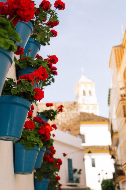 Discover Marbellas Old Town With Five-Star Private Tour - Cultural Experience