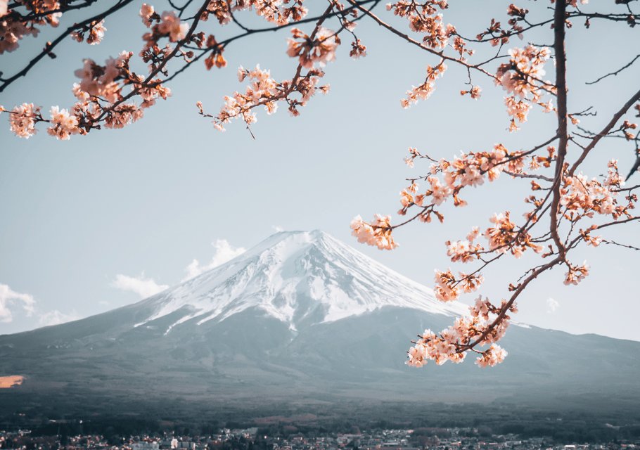 Discover Mount Fuji: Private Car/Van Day Tour From Tokyo - Transportation Details