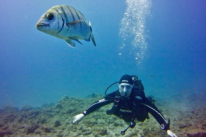 DISCOVER SCUBA DIVING - First Step to Your Certification - Inclusions and Additional Details