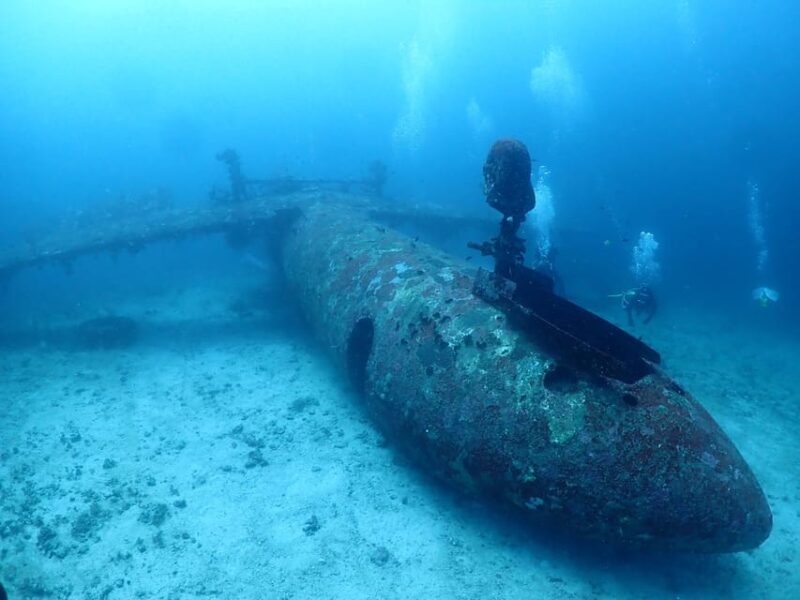 Discover Scuba Diving in Boracay - Pricing and Duration Details