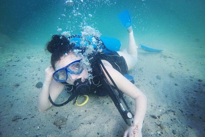 Discover Scuba Diving in Dubai - Customer Reviews and Feedback