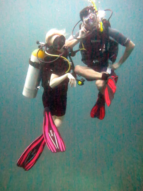 Discover Scuba Diving & Learn to Dive - Pricing and Inclusions