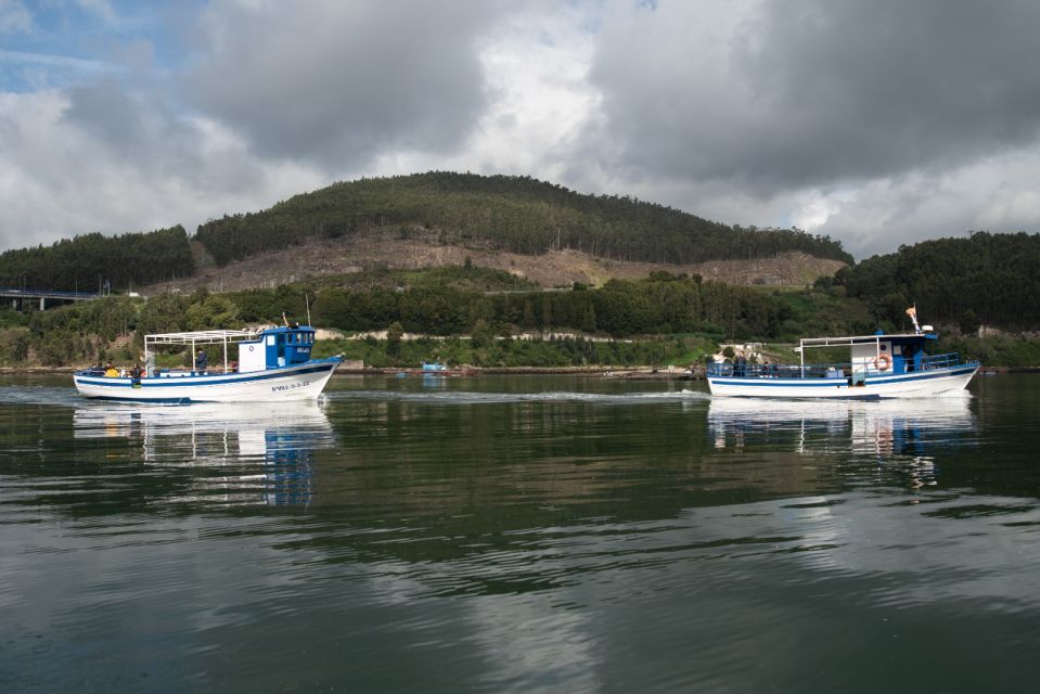 Discovering Vigo Ria and Mussels in the Traditional Boat - Experience Highlights