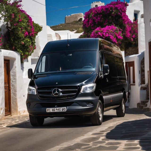 Disposal Service Mykonos: Half Day Private Driver-Mini Bus - Vehicle and Driver Information