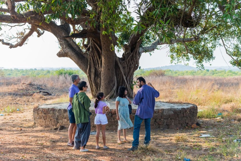 Divar Island: Local Goan Village Tour With Traditional Lunch - Cultural Highlights of the Tour