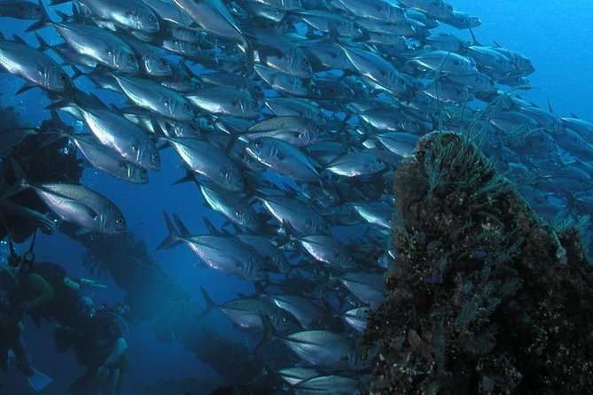 Dive at Tulamben Bali USS Liberty Ship Wreck - Tour Inclusions