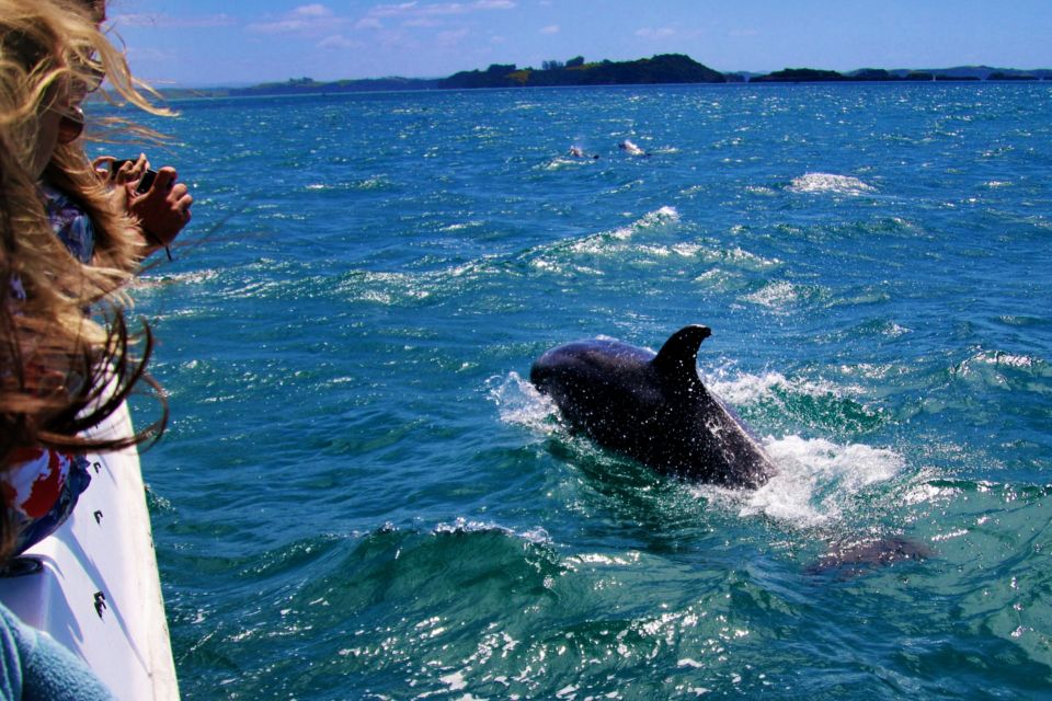 Dolphin Watching in Trincomalee - Duration and Languages