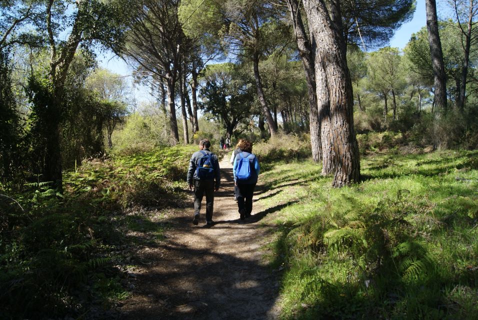 Doñana National Park Off-Road Tour From Seville - Experience Highlights