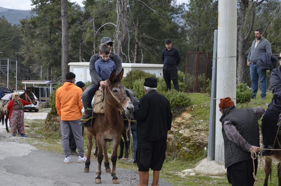 Donkey Safari and Village Tour With Lunch - Experience Highlights