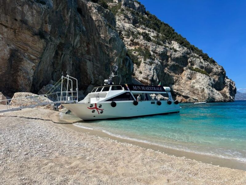 Dorgali: Cala Luna Boat Trip - Booking Process