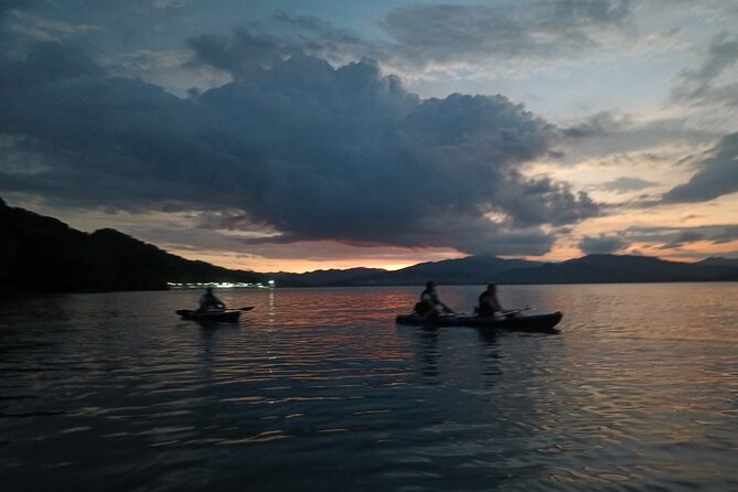 Double Kayak Bioluminescence Tour in Costa Rica - Highlights of the Bioluminescence Tour