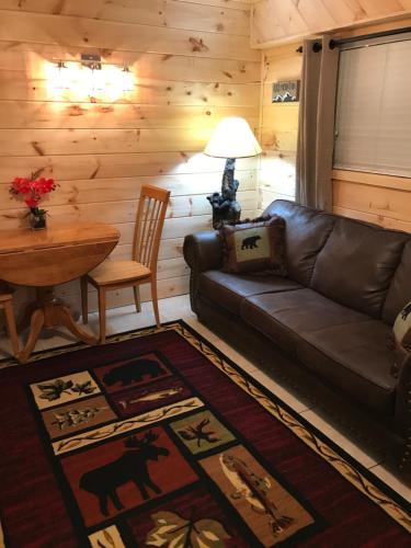 Downtown Gatlinburg Apartment - Accommodation Features