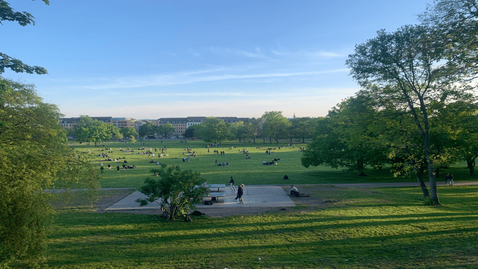 Dresden: Urban Nature& Counter Culture Tours - Dogs Welcome! - Experience and Activities