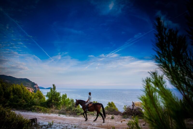 Dubrovnik Kojan Koral: Horseback Riding - Experience Details
