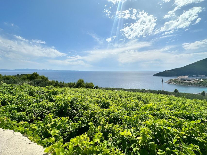 Dubrovnik: Wine & Gastro Private Tour to Pelješac Peninsula - Malostonski Bay