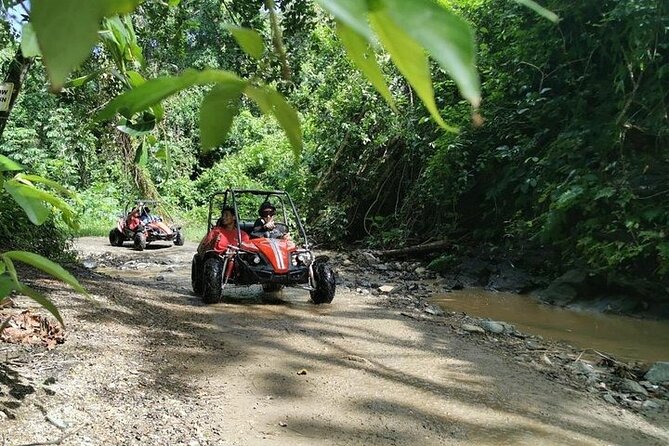 Dune Buggy Jungle Adventure Muddy Tour(Non Cruise Guest Min-2pax) - Pickup Information