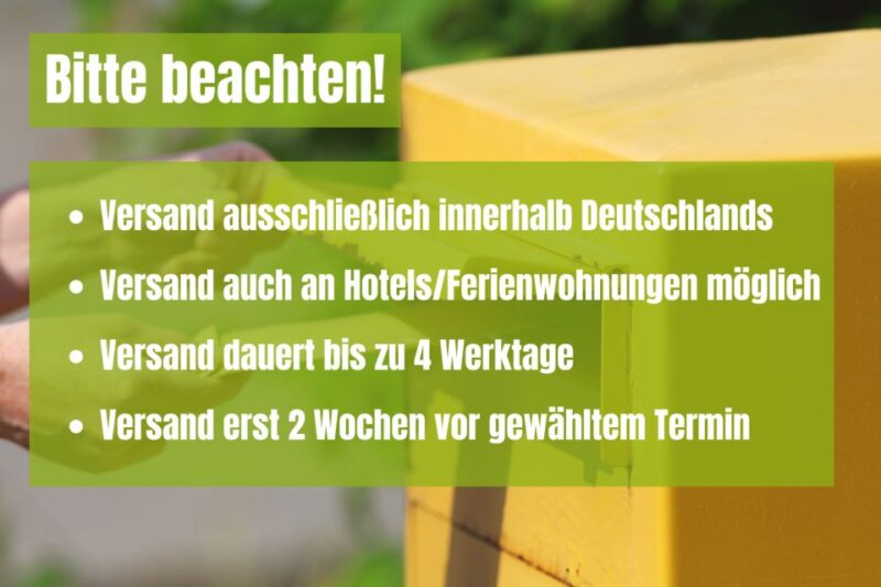 Düsseldorf: Scavenger Hunt Self-Guided Tour - Booking Process