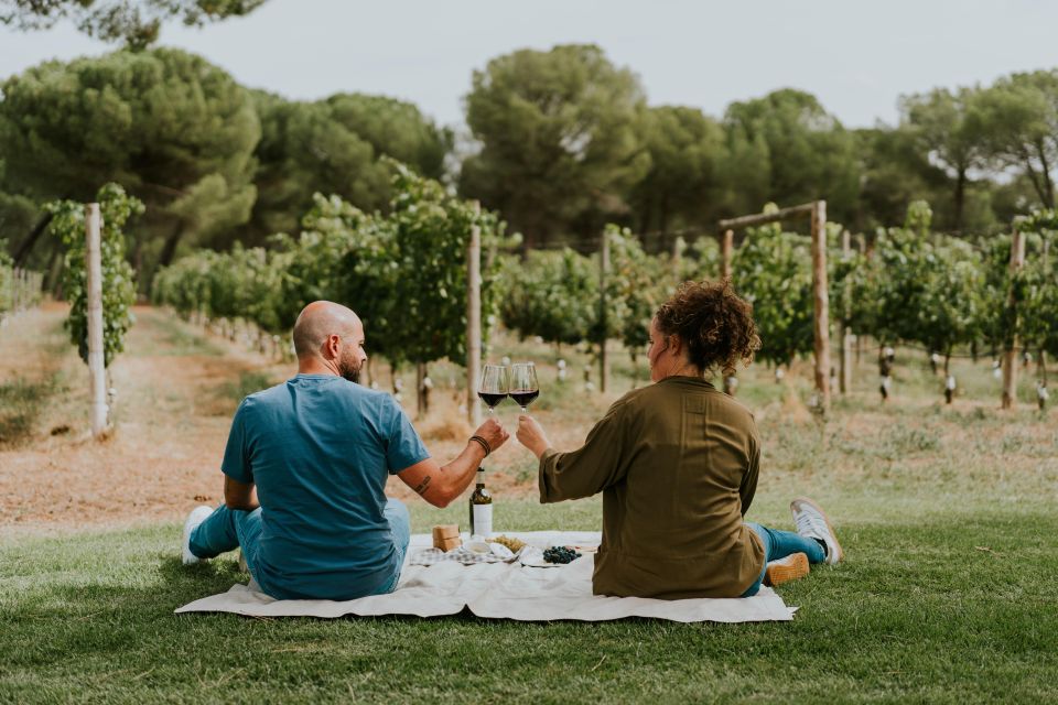 E-Bike Tour & Picnic in an Exclusive Winery Estate - Cancellation Policy