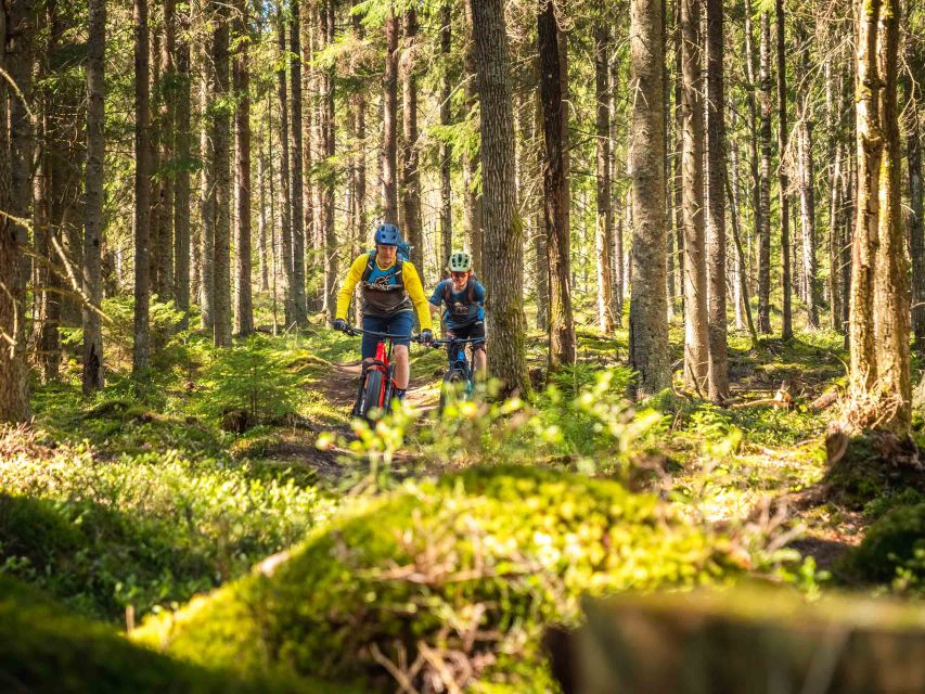 E-Fatbike Experience in Small Groups - Pricing Details