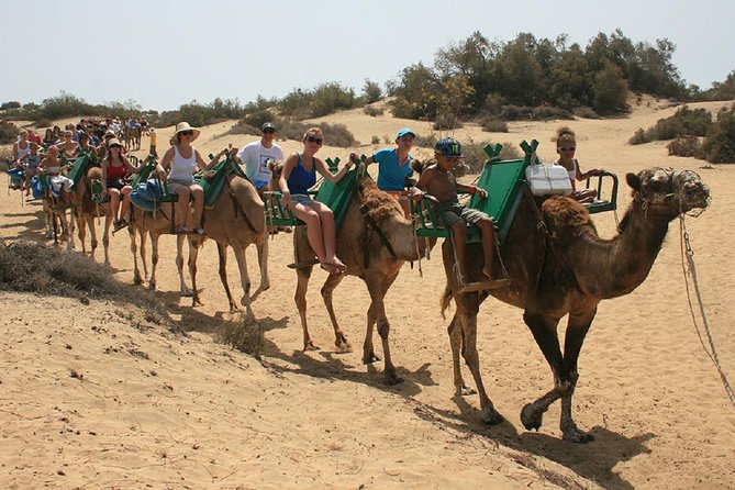 E-Scooter Tour Optional Camel Ride : Maspalomas Dunes & Meloneras - Key Attractions and Itinerary