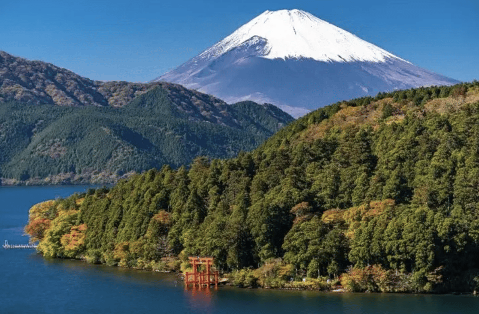 【Muslim Friendly】 Hakone 1-Day Private Tour - Transportation Options