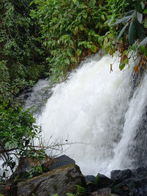 Easy Rider - Motorbike Tour - Pongour Waterfall Day Tour - Experience Highlights