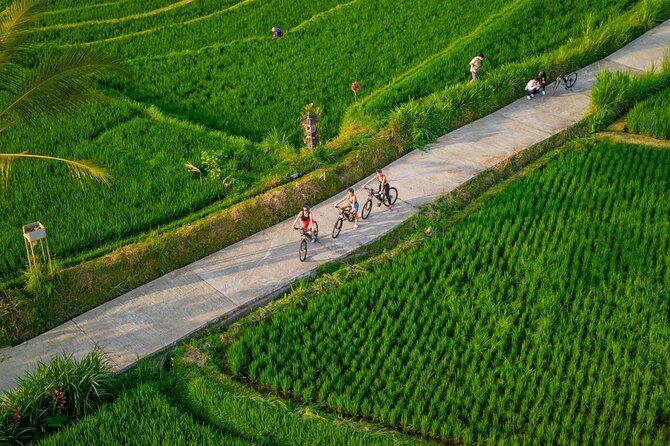 Ebike Ubud Rice Terraces and Traditional Villages Cycling - Scenic Rice Terraces Experience