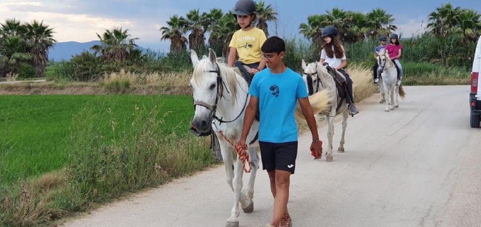 Ebro Delta National Park: Guided Horseback Riding Tour - Itinerary Details