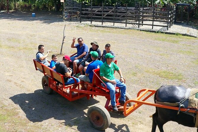 Eco Farm Tour & Water Buffalos - Meeting and Logistics