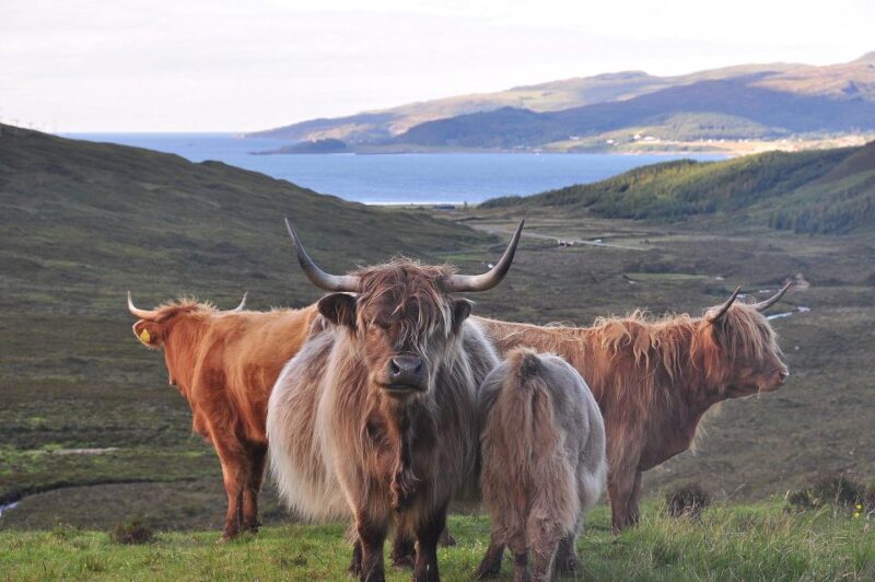 Edinburgh: 2-Day Loch Ness, Glencoe & Highlands Tour - Experience Highlights