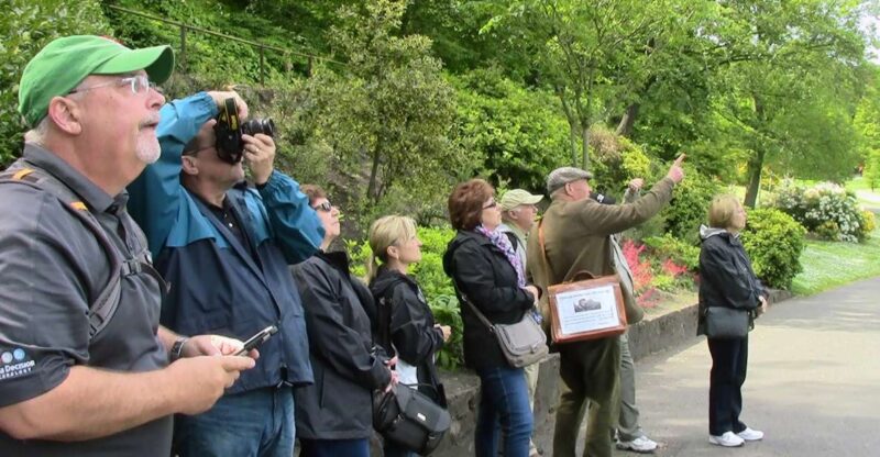 Edinburgh: City Highlights Private Guided Walking Tour - Experience and Highlights