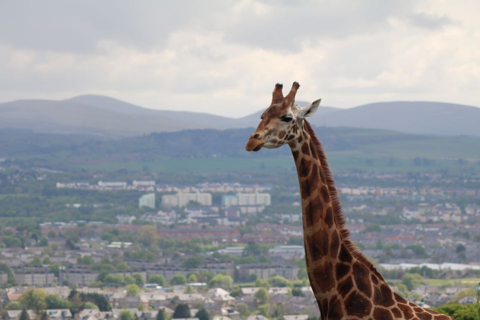 Edinburgh Zoo Entrance Ticket - Cancellation Policy