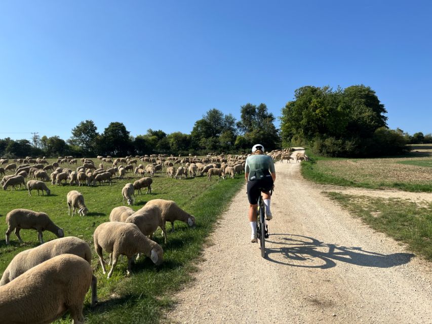 Eichstätt: Interactive Bike Tour - Travel Through History - Experience and Highlights