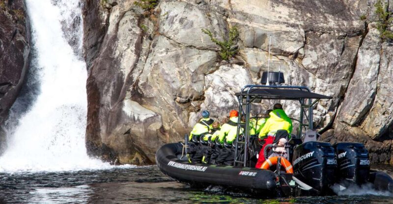 Eidfjord: 1-Hour Fjord RIB Tour - Experience Highlights