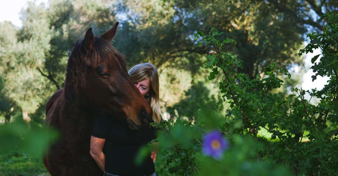 El Palmar: Reconnect Thanks to Coaching With Horses - Exploring Personal Challenges