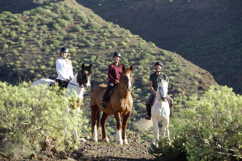 El Salobre: Horse Riding Adventure With Transfer Options - Highlights of the Experience