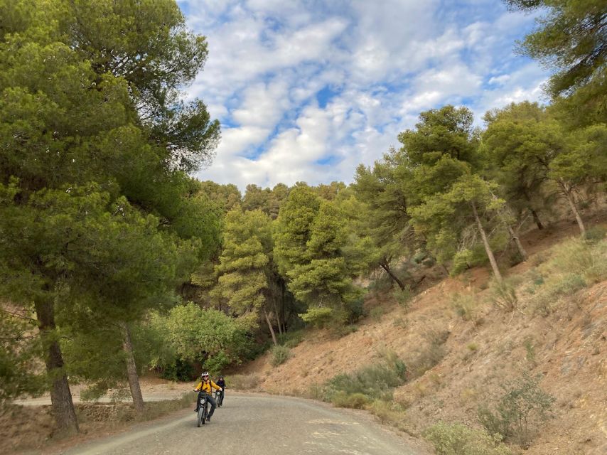 Electric FAT Biking in Montes De Malaga & Countryside - Itinerary Highlights