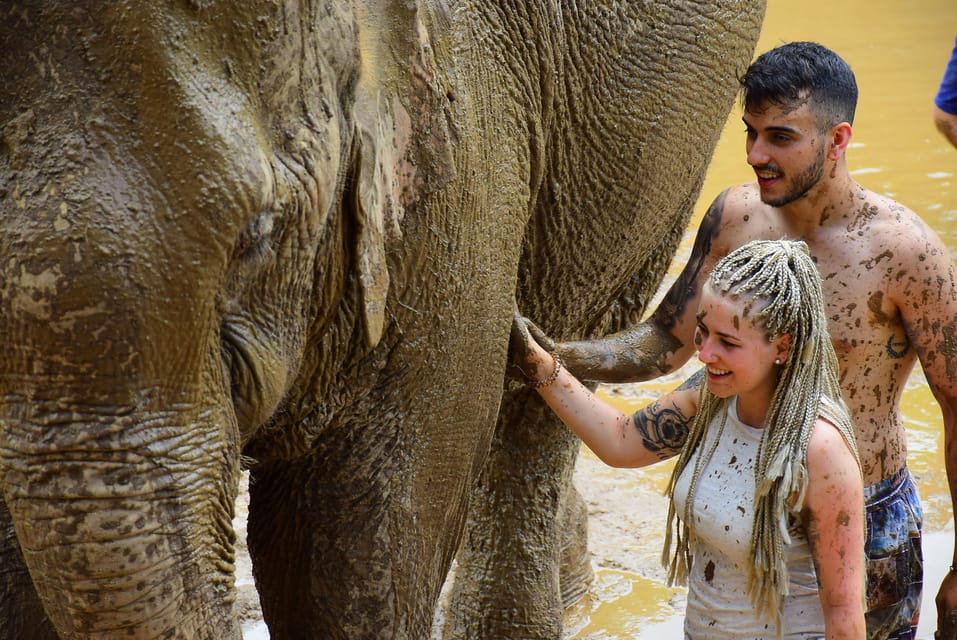 Elephant Care With Wat Umong, Doi Suthep and Night City View - Doi Suthep Mountain