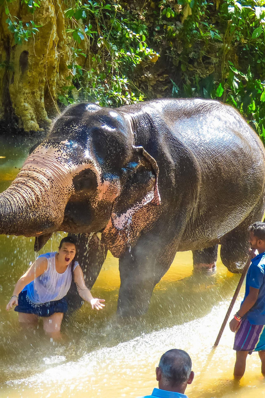 Elephant Keeper Experience Option Waterfall Day Tour - Itinerary and Locations