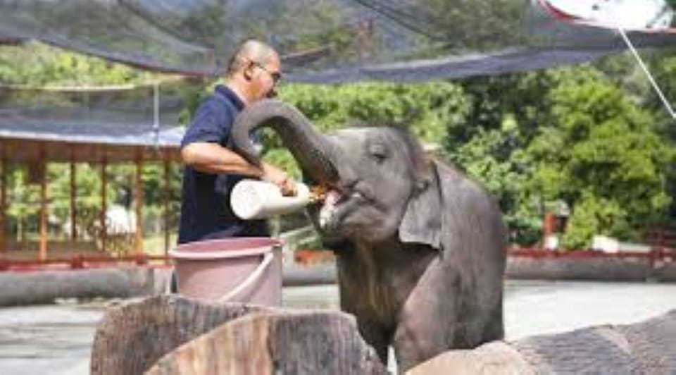 ELEPHANT SANCTUARY GUIDED TOUR WITH WATERFALL HIKE - Itinerary and Transportation