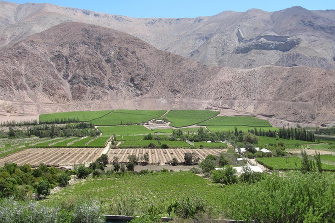 Elqui Valley and Vicuna Private Tour Including Lunch - Puclaro Reservoir