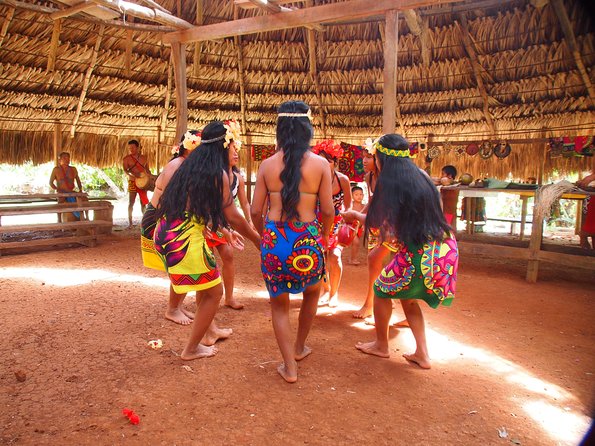 Embera Indigenous Village Visit - Highlights of the Experience