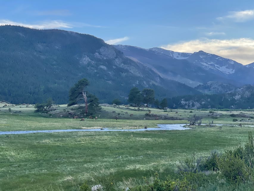 Estes Park: Guided Sunset Elk Mating Ritual Tour - Activity Description