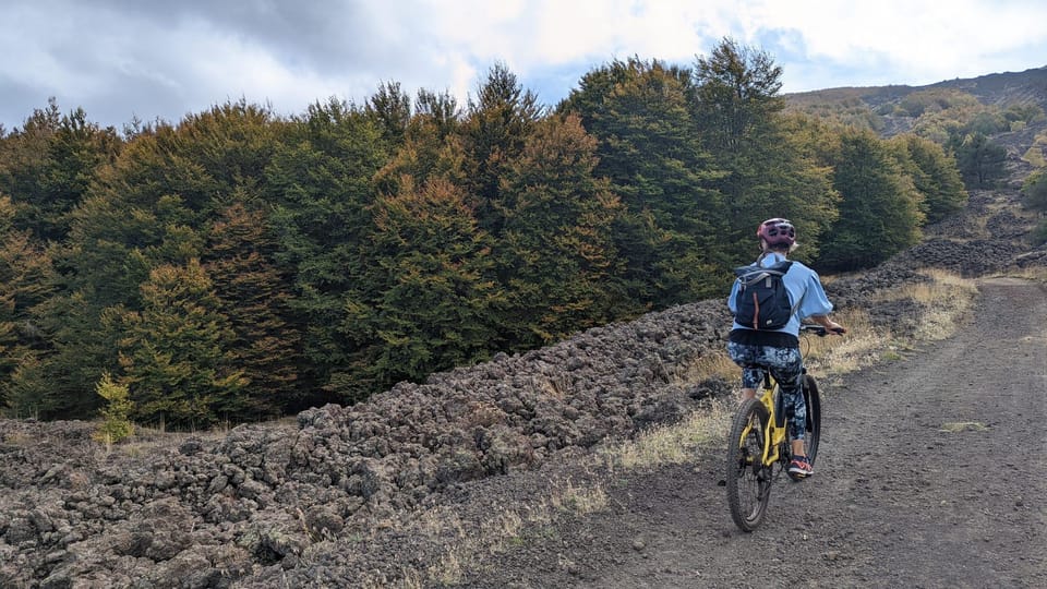 Etna in E- Bike and Wine Taste Experience - Booking Your Adventure