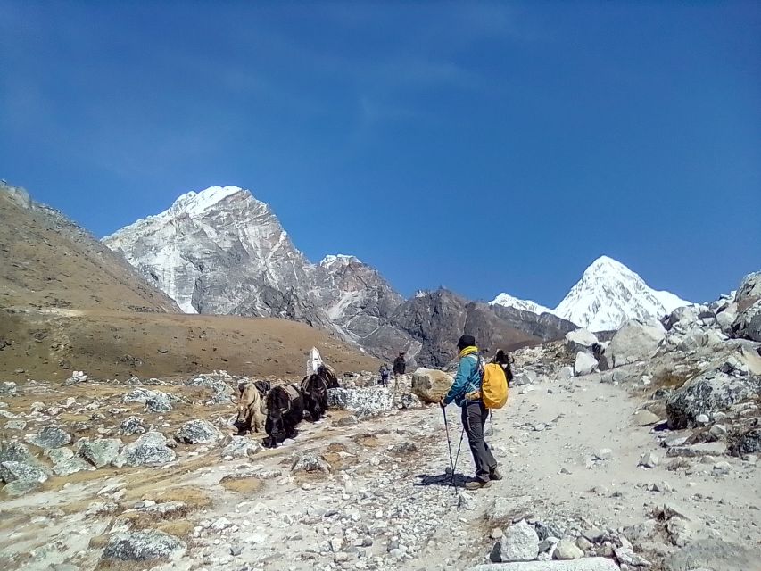 Everest Base Camp: 12-DAY Trek From Kathmandu - Pricing and Booking Details