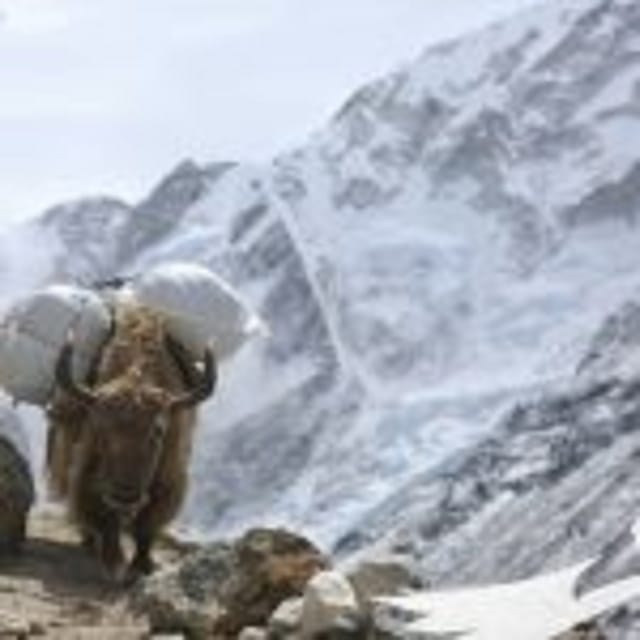 Everest Base Camp - Itinerary Highlights