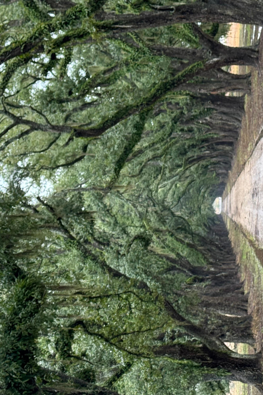 Evergreen Plantation Full Access Private Tour - Booking Information